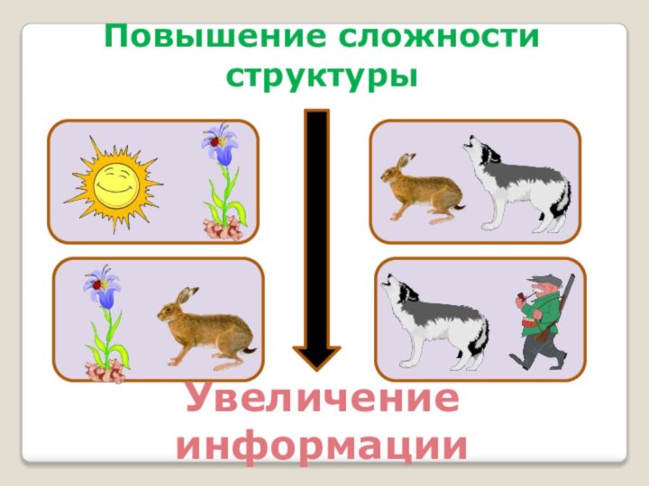 Повышение сложности структурыУвеличение информации