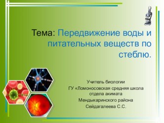 Презентация по биологии на тему:Передвижение воды и питательных веществ по стеблю.