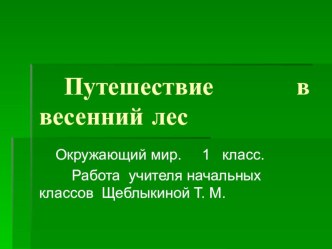 Презентация по окружающему миру Путешествие в весенний лес