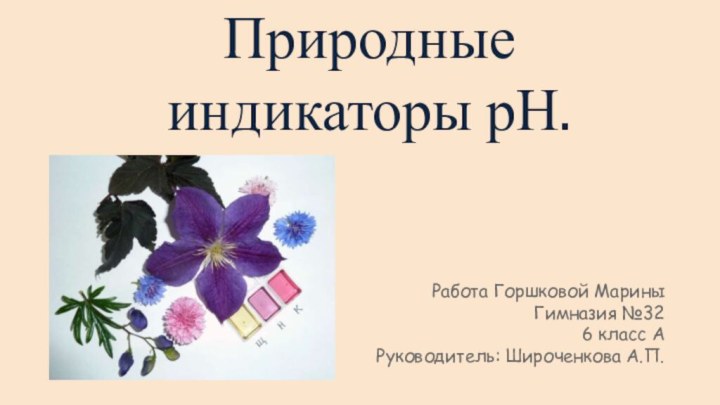 Природные индикаторы рН.Работа Горшковой Марины Гимназия №32 6 класс А  Руководитель: Широченкова А.П.