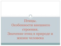 Презентация по внеклассному мероприятию на тему: Интересное о птицах