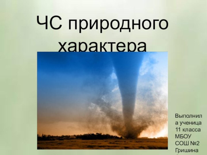 ЧС природного характераВыполнила ученица 11 класса МБОУ СОШ №2Гришина Светлана