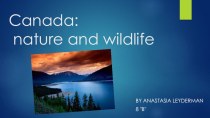 Презентация по английскому языку на тему Canada/ Wildlife (8 класс)