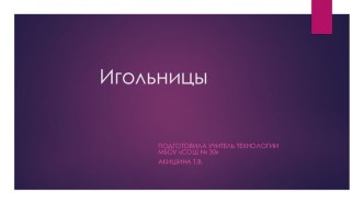 Презентация по технологии на тему Игольницы