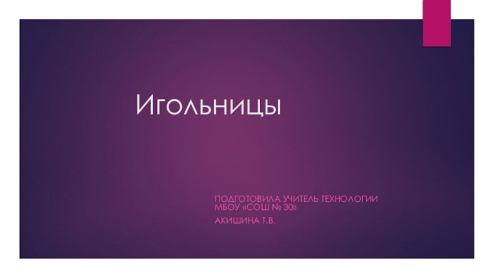 ИгольницыПодготовила учитель технологии МБОУ «СОШ № 30»Акишина Т.В.