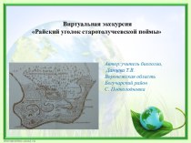 Виртуальная экскурсия Райский уголок Старотолучеевской поймы