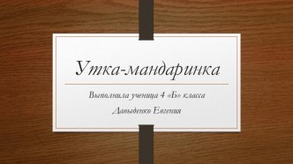 Презентация ученицы 4 класса Давыденко Евгении  Утка-мандаринка