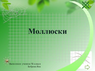 Презентация по биологии на тему: Моллюски (5 класс)