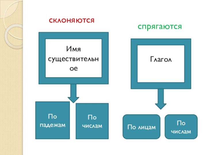 По падежамПо числамПо лицамПо числамИмя существительноеГлагол спрягаютсясклоняются