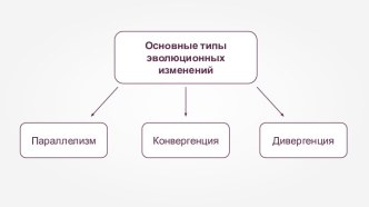 Презентация направления эволюции органического мира