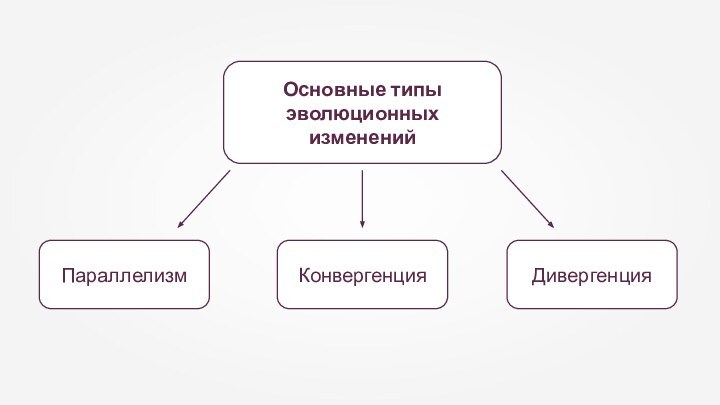 Основные типы эволюционных изменений