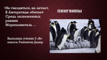 Презентация - проект (исследования) Пингвины ( 1 - 4 класс)