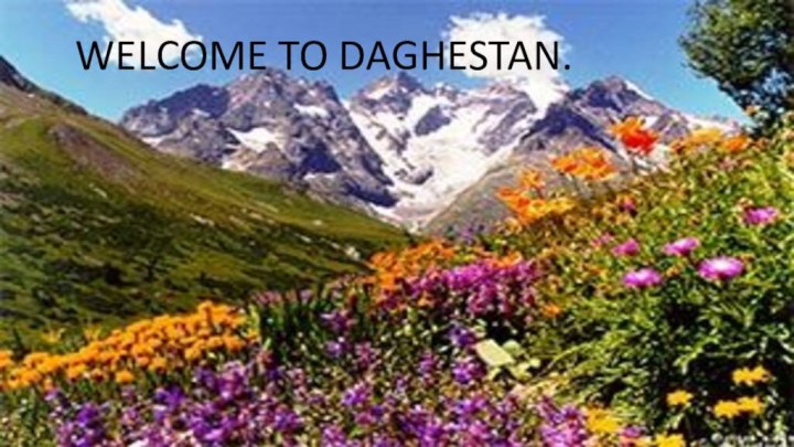 WELCOME TO DAGHESTAN.