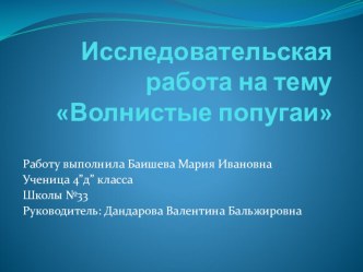 Презентация проектно-исследовательской работы по теме Волнистые попугаи