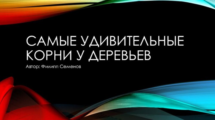 Самые удивительные корни у деревьевАвтор: Филипп Семенов