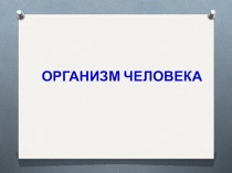 Презентация по окружающему миру Организм человека