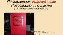 Красная Книга НСО