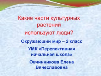 Презентация по окружающему миру на тему Какие части культурных растений используют люди 2 класс