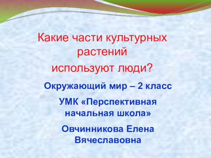 Какие части культурных растений используют люди?Окружающий мир – 2 классУМК «Перспективная начальная школа»Овчинникова Елена Вячеславовна