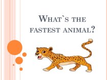 Презентация по английскому языку на тему Степени сравнения прилагательных (What`s the fastest animal?)