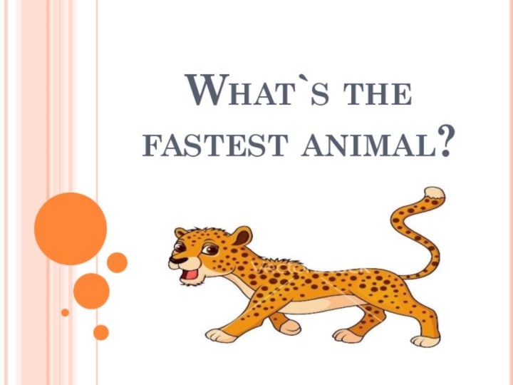 What`s the fastest animal?