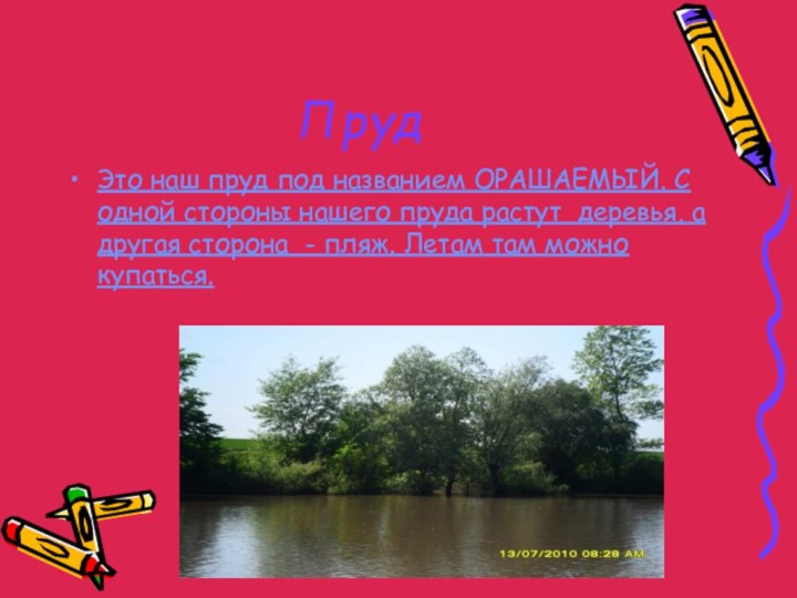 ПрудЭто наш пруд под названием ОРАШАЕМЫЙ. С одной стороны нашего пруда растут