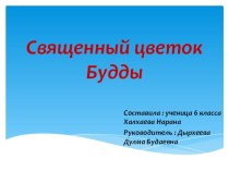 Исследовательская работа по окружающему миру на тему Священный цветок Будды