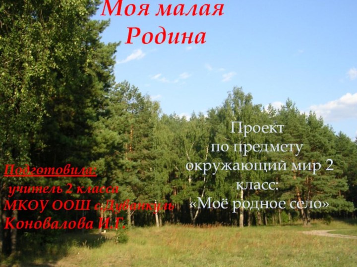 Моя малая  РодинаПодготовила: учитель 2 класса МКОУ ООШ с.ДуванкульКоновалова И.Г.Проект по