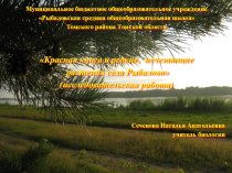 Презентация по биологии Красная книга и редкие, исчезающие растения села Рыбалово Томской области