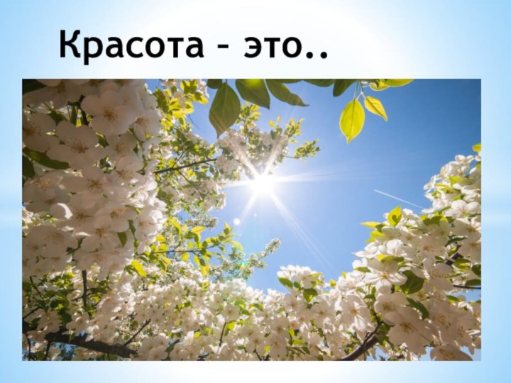 Красота – это..