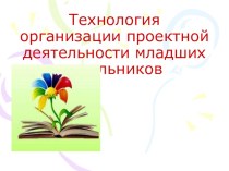 Организация проектной деятельности в начальной школе