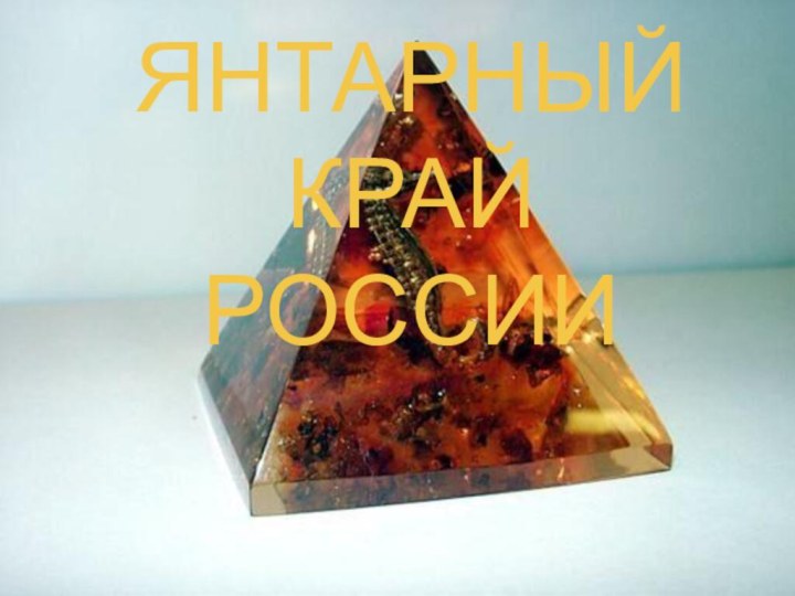 ЯНТАРНЫЙ КРАЙ РОССИИ