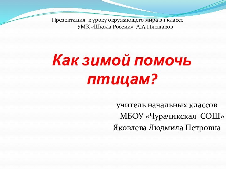 Как зимой помочь птицам?