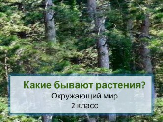 Презентация к уроку окружающего мира Какие бывают растения? 2 класс