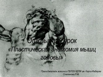 Презентация к открытому уроку по пластической анатомии Анатомия мышц головы и шеи