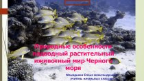 Презентация Природные особенности подводный растительный и животный мир.