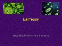 Разработка урока по биологии Бактерии: строение, жизнедеятельность и значение (5 класс)