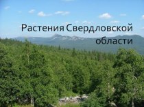 Презентация Растения Свердловской области