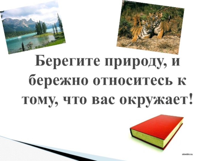 Берегите природу, и бережно относитесь к тому, что вас окружает!