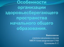 Особенности организации здоровьесберегающего пространства начального общего образования