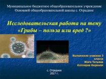 Исследовательская работа по теме: Грибы - польза или вред