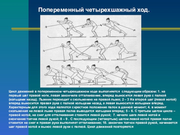 Попеременный четырехшажный ход.Цикл движений в попеременном четырехшажном ходе выполняется следующим образом: 1.