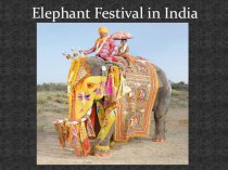 Презентация Elephant Festival in India