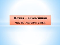 Презентация по окружающему миру на тему Почва 3 класс