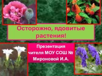 Презентация для проведения классного часа или родительского собрания на тему:  Осторожно, ядовитые растения