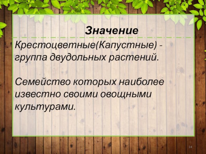 Крестоцветные(Капустные) - группа двудольных растений.Семейство которых наиболее известно своими овощными культурами.Значение