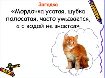 Презентация по изобразительному искусству на тему Рыжий кот(5 класс)