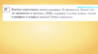 Примеры заданий ЕГЭ № 28 Митоз. Мейоз