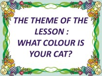 Презентация урока на английском языке на тему What colour is your cat?