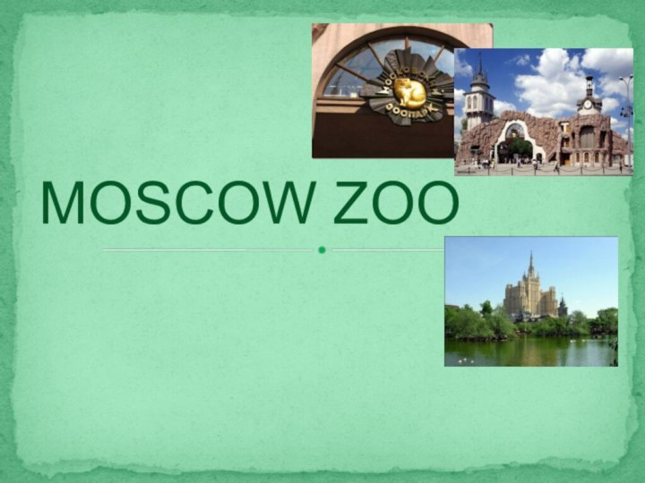 MOSCOW ZOO